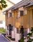 Cohousing jako alternativa společného bydlení
